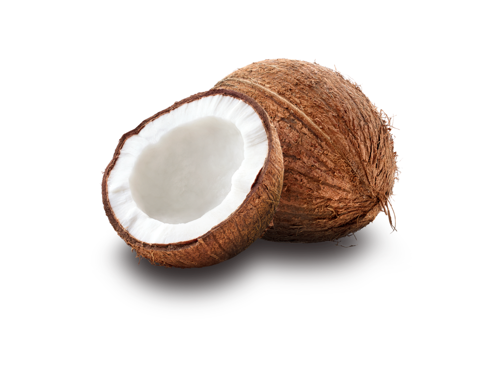 Fresh Coconuts